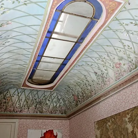 L'orchidee