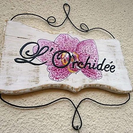 L'orchidee Ginestas