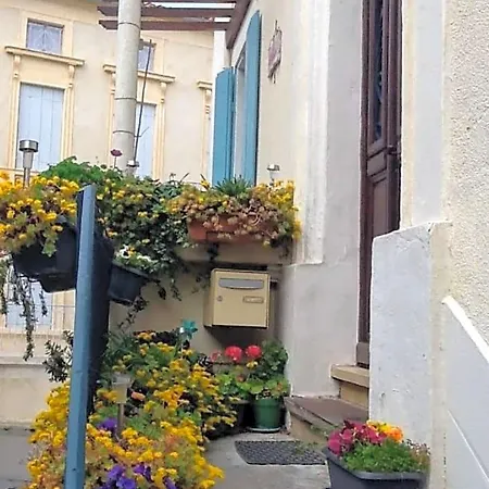 L'orchidee *