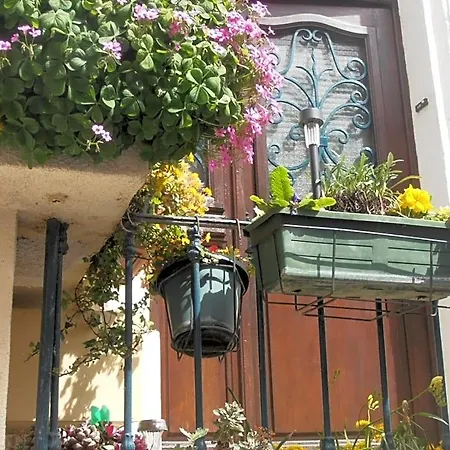 L'orchidee Отель типа 