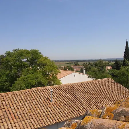 L'orchidee * Ginestas