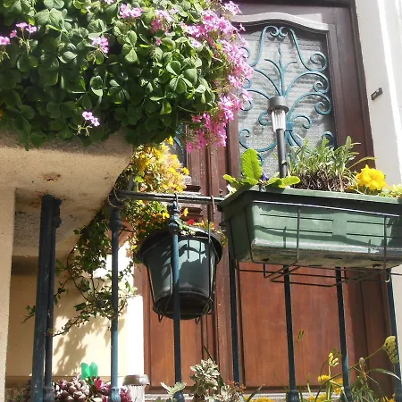 L'orchidee * Ginestas