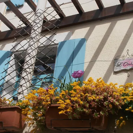 L'orchidee * Ginestas