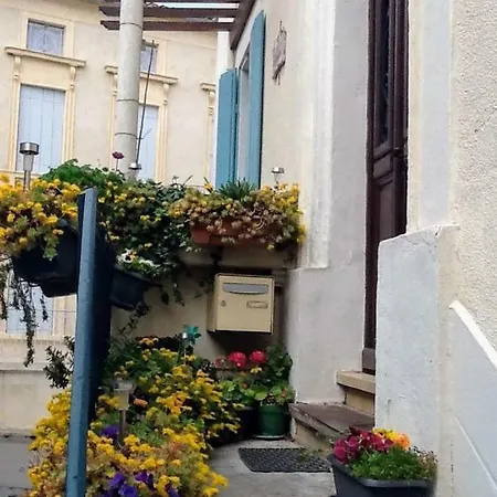 L'orchidee